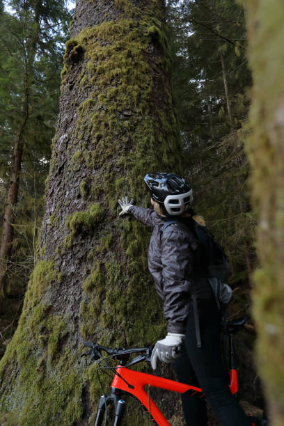 istock Female mountain biker leans against tree 1141997877