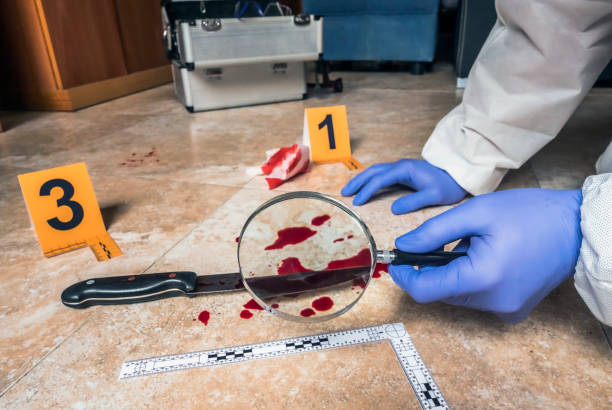 la policía experta examina con lupa un cuchillo con sangre en la escena de un crimen, una imagen conceptual - csi fotografías e imágenes de stock