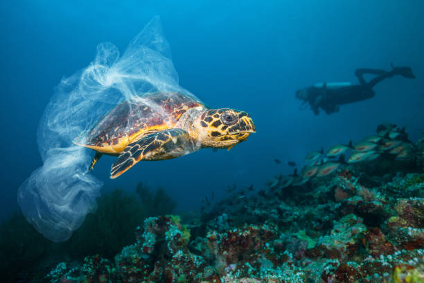 Underwater global problem with plastic rubbish stock photo