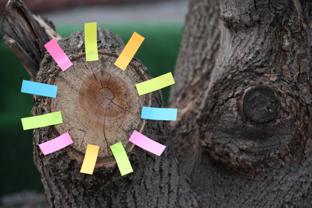 istock Forest tree stub paper stickers nobody 1142000455