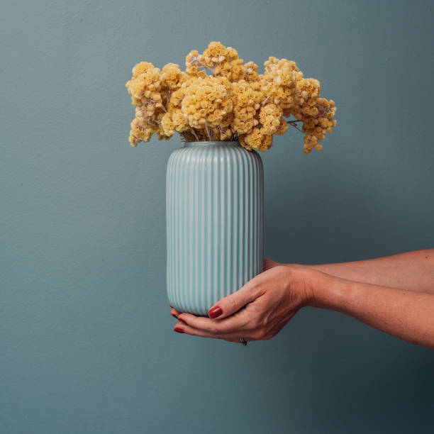 istock Vase with dried yellow flowers immortelle 1142001176