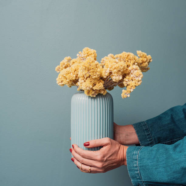 istock Vase with dried yellow flowers immortelle 1142001199