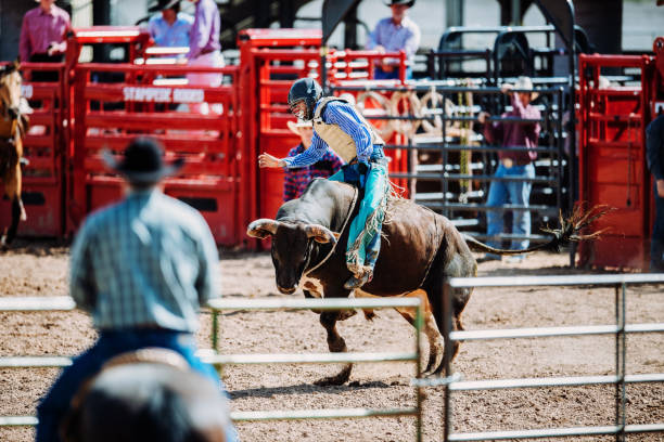 istock Rodeo competition with raging bulls in USA 1142010939