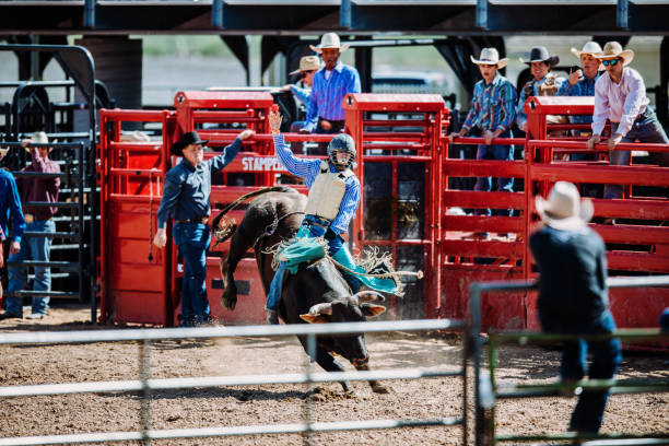 istock Rodeo competition with raging bulls in USA 1142011274