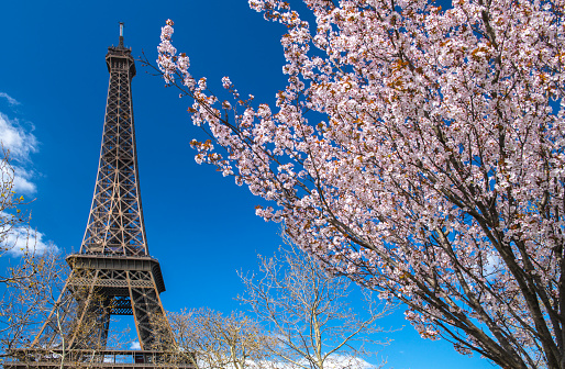 Eiffel Tower in sunny spring day in Paris, France
