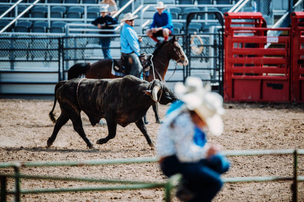 istock Rodeo competition with raging bulls in USA 1142012349
