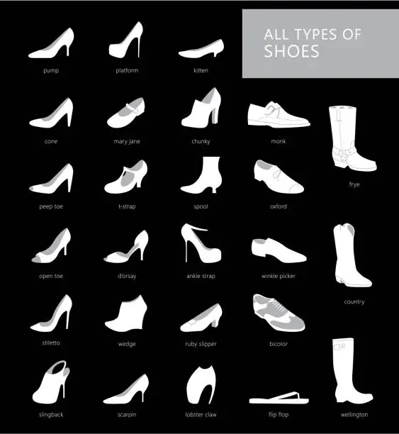 Vector illustration of types of footwea
