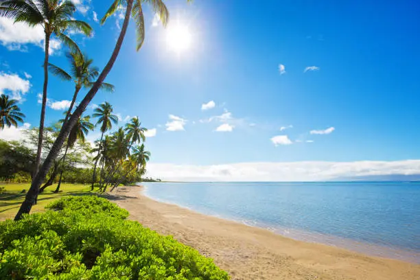 Beautiful One Albi Park beach of the island of Molokai in Hawaii, USA.