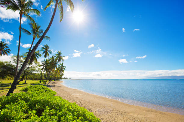 uma praia do parque de alii do console de molokai em havaí - molokai - fotografias e filmes do acervo