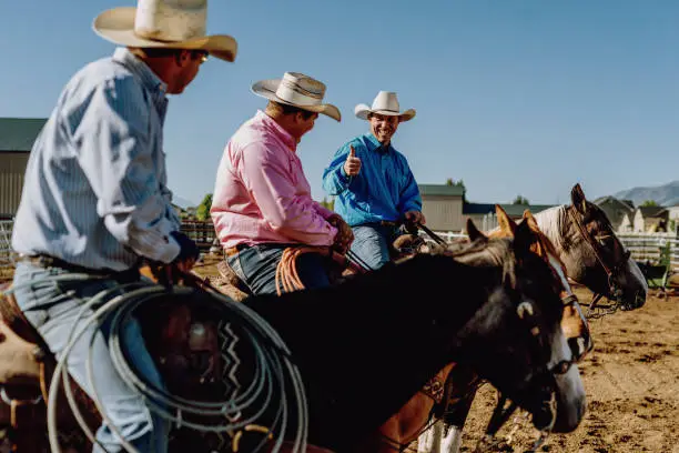 Photo of Three cowboys riding horses and lassoing calf.