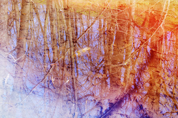 istock Creek in the spring forest. Reflection of trees. snow is melting. 1142014433