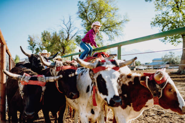 istock Young ranchers with beef cattle in USA 1142016437