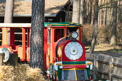 Railway for children. A red steam locomotive for small children drives through a leisure park in the woods. Railroad travel and tourism. Electric powered retro railway train.