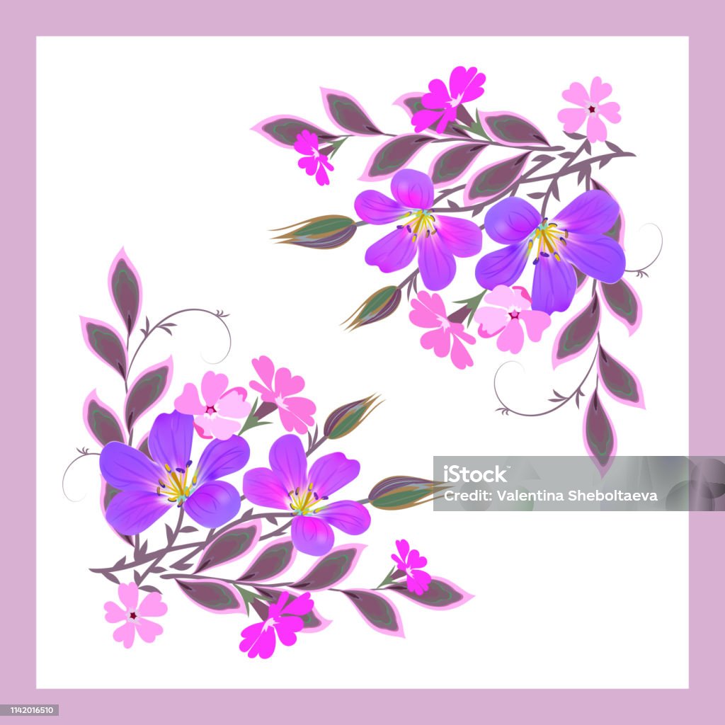 Vector floral pattern for design scarf, scarf, textile. Violet and pink flowers with decorative leaves and buds in a pink frame on a white background. Vector floral pattern for design scarf, scarf, textile. Violet and pink flowers with decorative leaves and buds in a pink frame on a white background Border - Frame stock vector