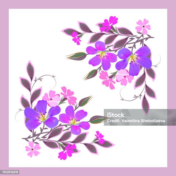 Vector Floral Pattern For Design Scarf Scarf Textile Violet And Pink Flowers With Decorative Leaves And Buds In A Pink Frame On A White Background Stock Illustration - Download Image Now