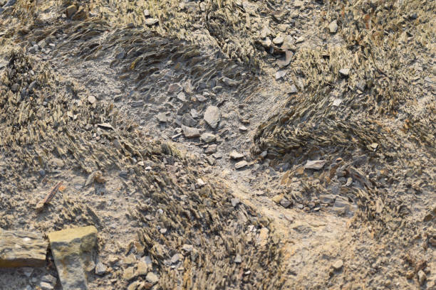 Dried up stream bed North Cornwall Stream bed showing erosion dry riverbed stock pictures, royalty-free photos & images