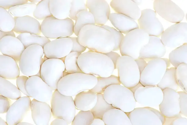 Photo of White beans on a white background. Texture of white beans.