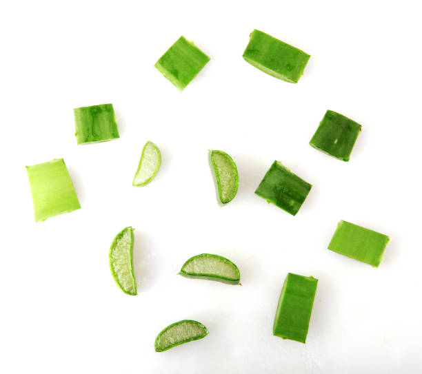 istock Aloe Vera Plant 1142022372