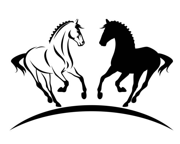 ilustrações, clipart, desenhos animados e ícones de esboço running do cavalo e vetor da silhueta - silhouette white background black white