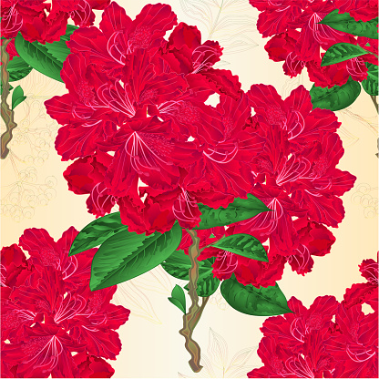 Twigs red flowers twig rhododendrons  mountain shrub on a white background vintage vector illustration editable hand draw