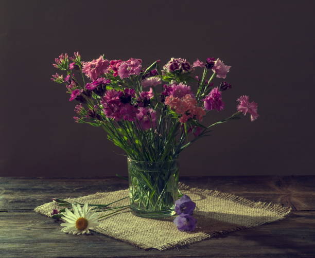 istock Still life with carnation flowers 1142025119