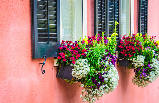 Two window boxes planted with ath same arrangement of flowers decorate shuttered windows on a pink wall in Charleston, South Carolina.