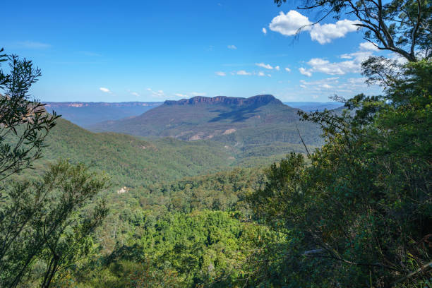 istock giant stairway track, blue mountains, australia 10 1142026465