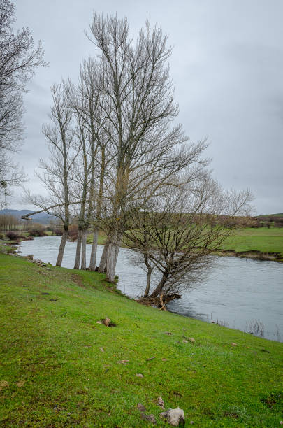istock Field and water in Salinas. Palencia 1142028158