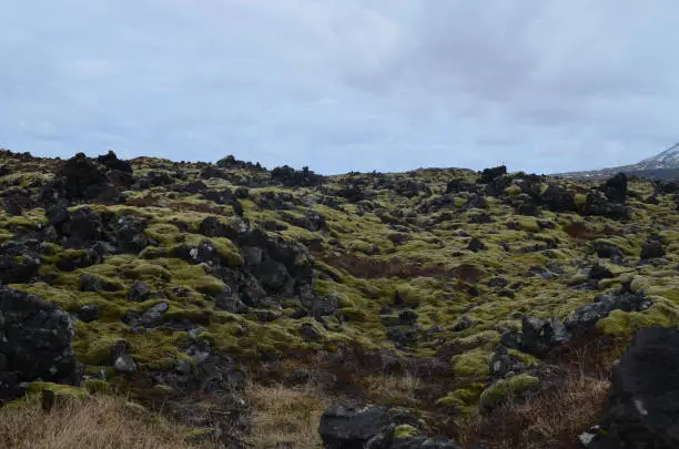 Rocky lava field with large volcanic rocks