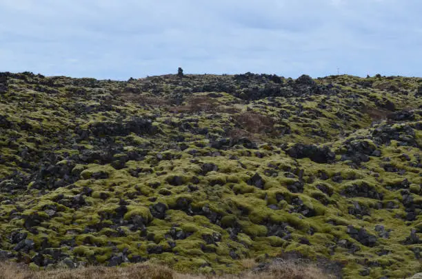 Lava field on the Snaefellsnes Peninsula in Iceland