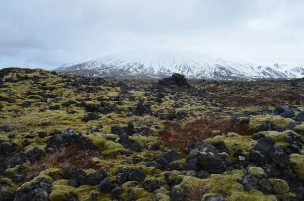 Stunning Icelandic landscape of a lava field and snow capped mountain