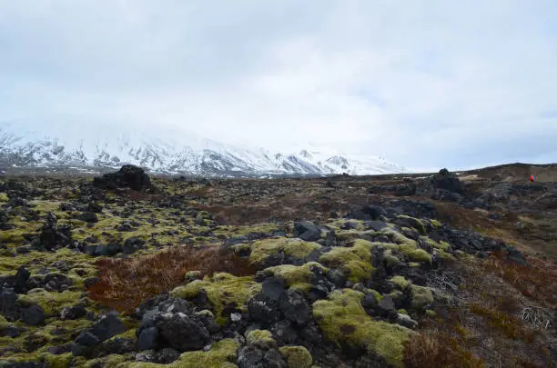 Beautiful landscape photo in Iceland with a snow capped mountain and a lava field