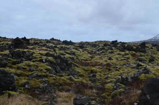 Breathtaking view of a lava field in Iceland