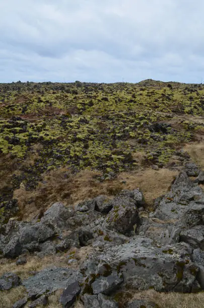 Rocky Icelnadic landscape of a lava field