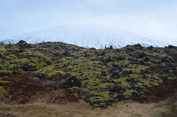 Beautiful icecapped mountain emerging from a lava field in Iceland
