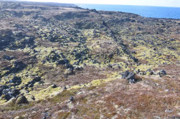 Icelandic vast lava field with volcanic rocks and green moss