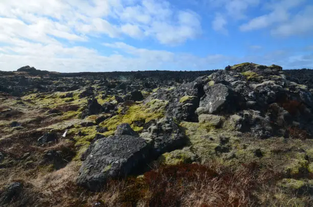 A rugged lava field in Iceland with tons of volcanic rocks