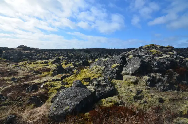 A lava field on the Snaefellsnes Peninsula in Iceland with volcanic rocks
