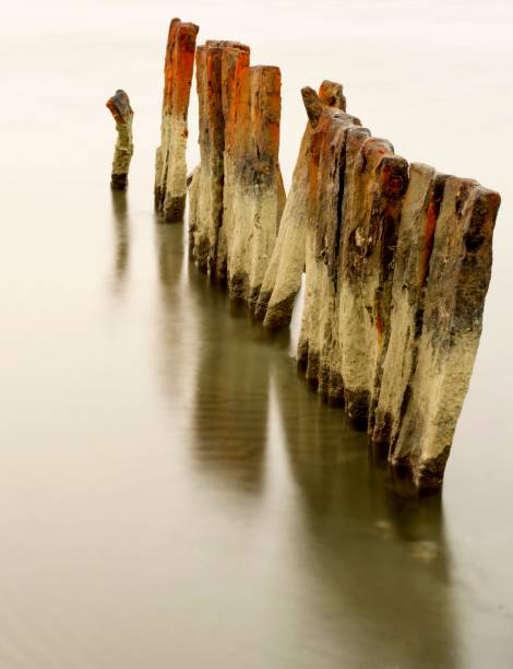 assi di legno arruggino e acqua di mare - wood shutter rusty rust foto e immagini stock