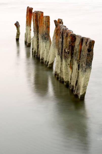 assi di legno arruggino e acqua di mare - wood shutter rusty rust foto e immagini stock