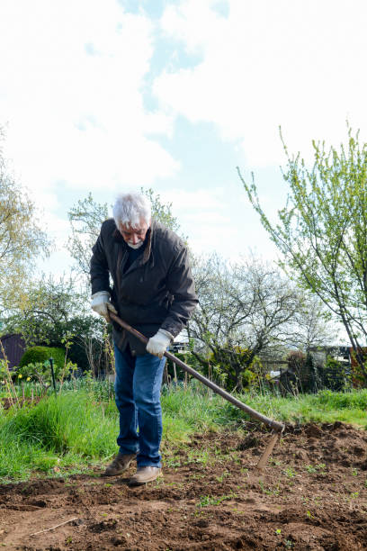istock Senior man working at the allotment 1142032184