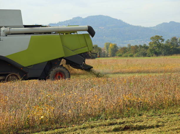 istock Combine harvesting during cereal harvesting in the field 1142032839