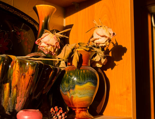 Dried roses in a ceramic vase under bright sunshine.