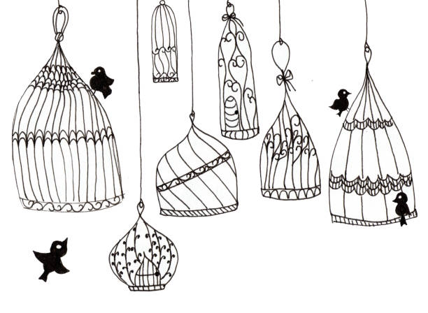 istock Illustration of simple cages with birds on a white background. Black contour lines on a white background. hand drawn 1142048407
