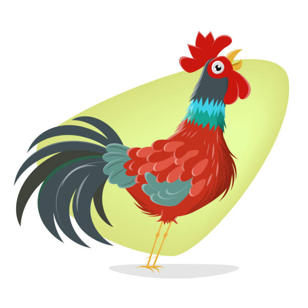 Funny Crowing Rooster Cartoon Illustration Stock Illustration - Download  Image Now - Rooster, Crowing, Agriculture - iStock