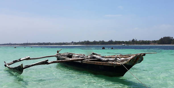istock Landscape of Diani Beach, Kenya, Africa 1142062365