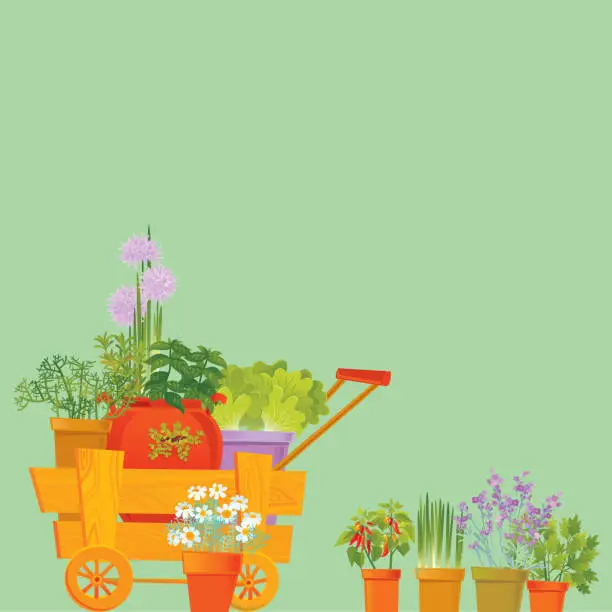 Vector illustration of Herb Background