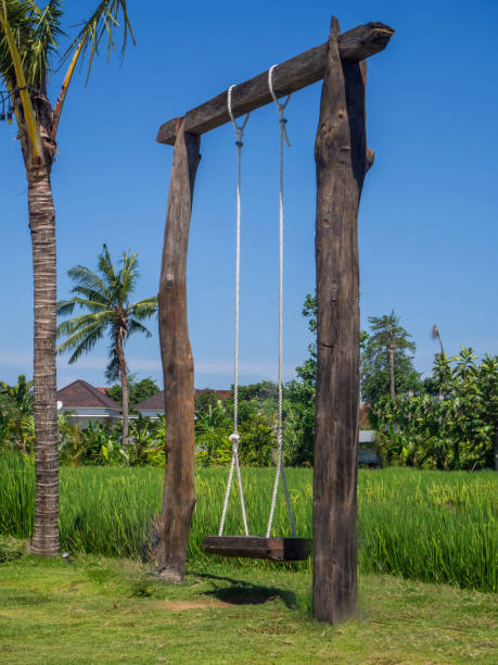 istock Rope swing in a green rice field 1142069610