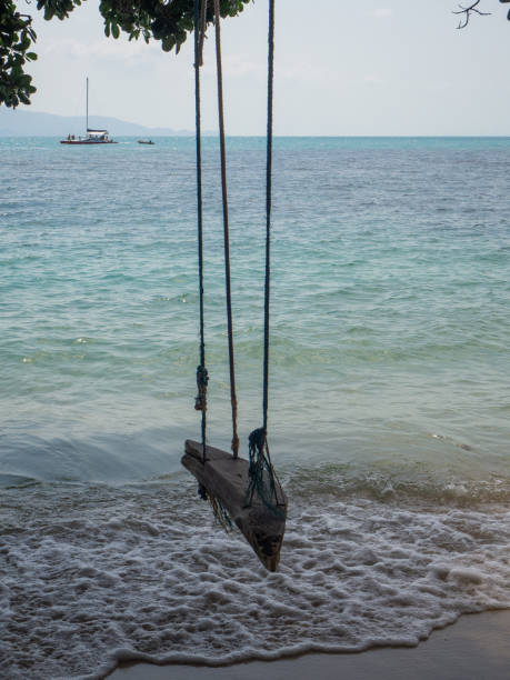 istock Rope swing by the sea 1142069735