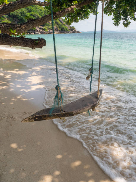 istock Rope swing by the sea 1142069964